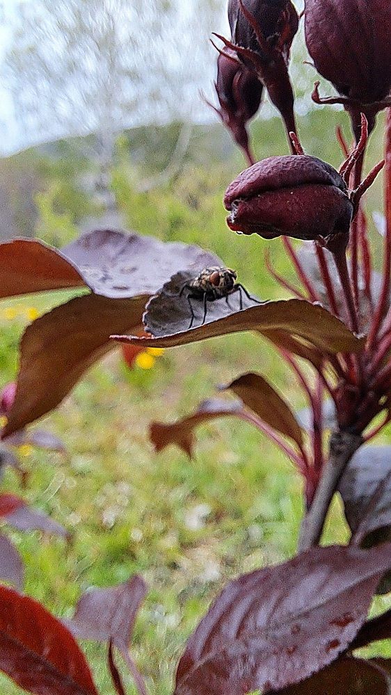 Photograph by Николай Худяков