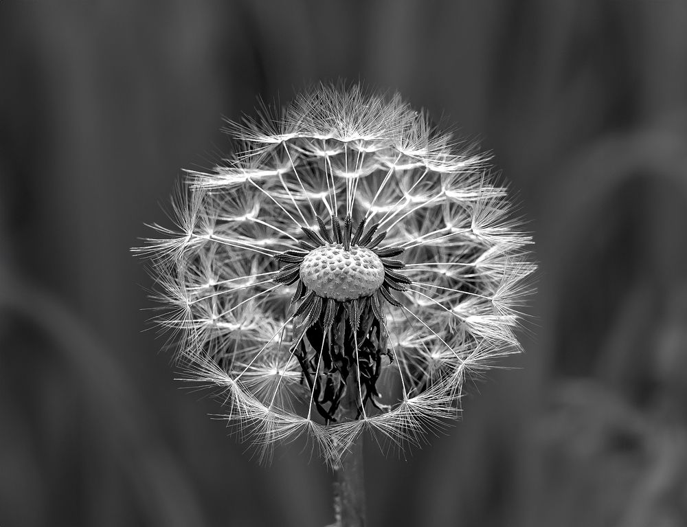 Photograph by александр лялин