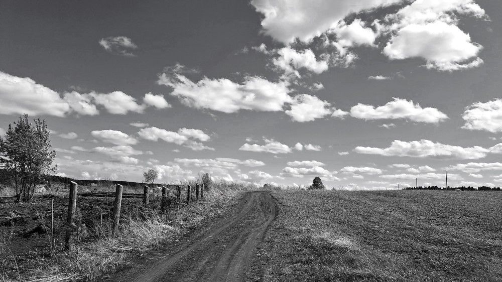 Photograph by Николай Худяков