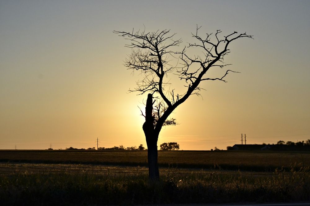 Photograph by Остапчук Ольга