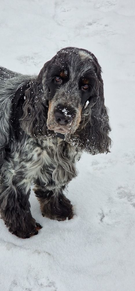 Фотография автора Ольга Быстрова