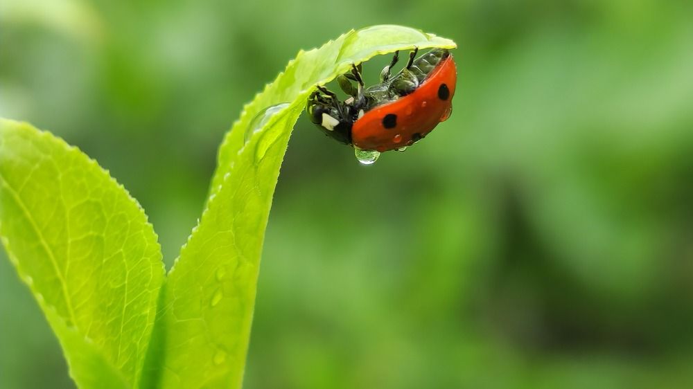 Фотография автора Ольга Быстрова
