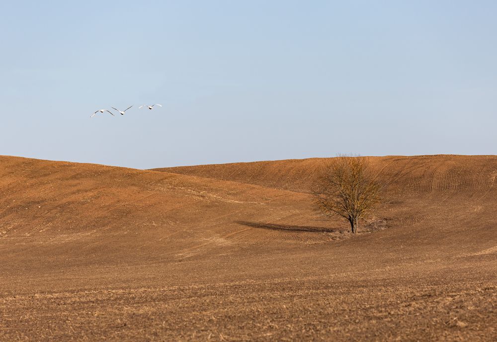 Photograph by Диана Бородзе