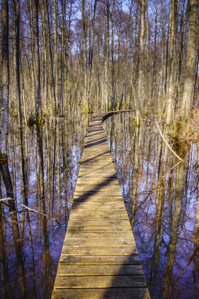 Photograph by Valdis Serzhans