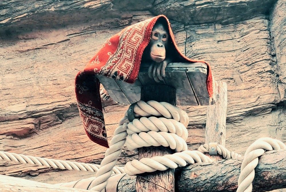 Photograph by Сергей Берез