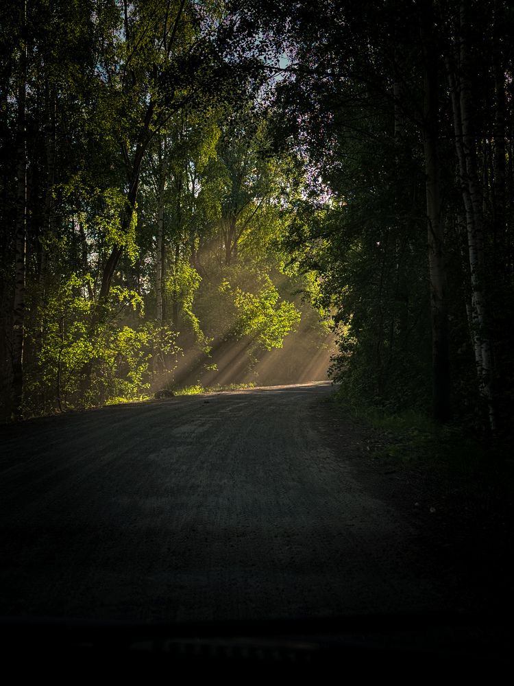 Photograph by Татьяна Зенина