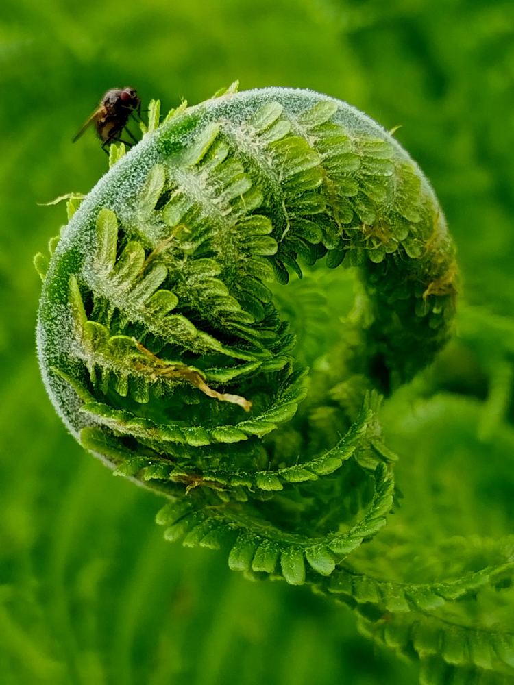 Photograph by Татьяна Солтан