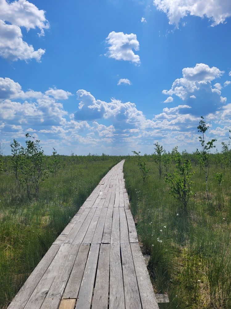 Photograph by Анна Масленникова-Бриль