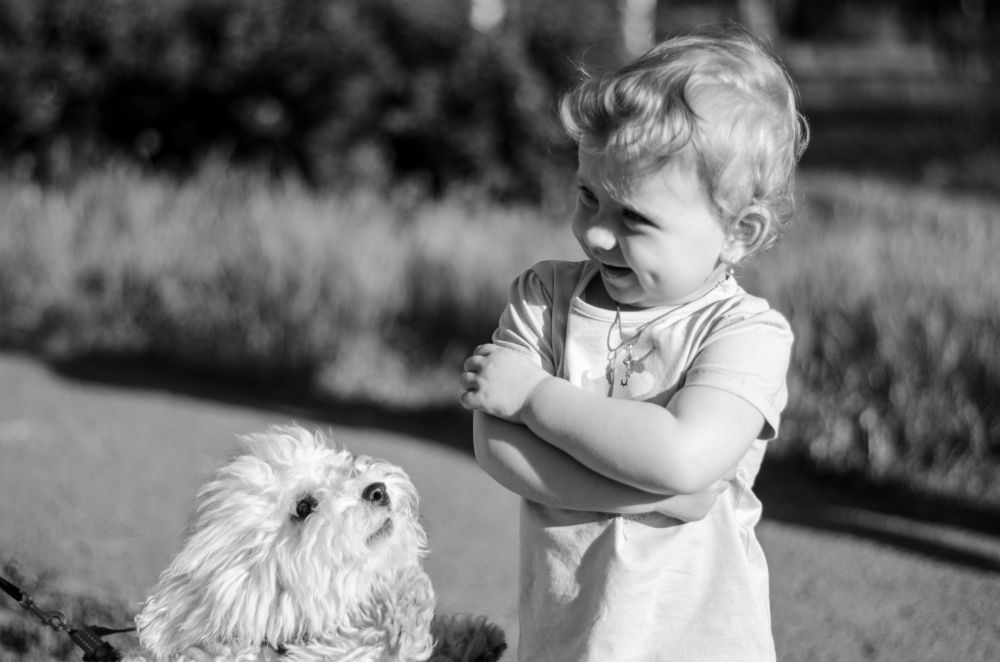 Photograph by Олег