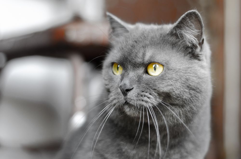 Photograph by Олег