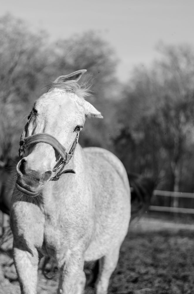 Photograph by Олег