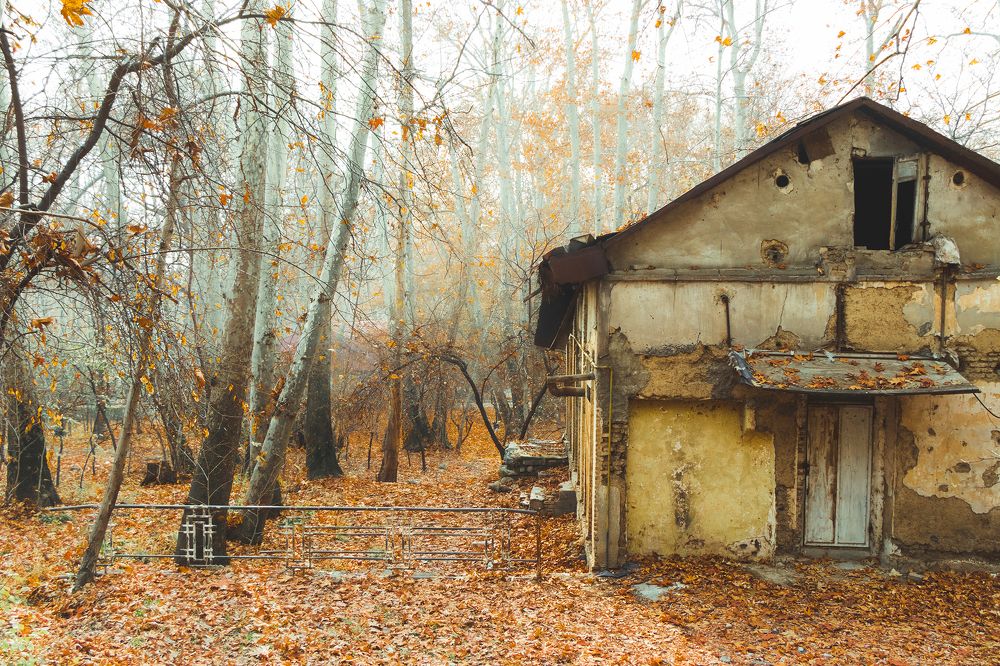 Photograph by Amir Reza Ramezani