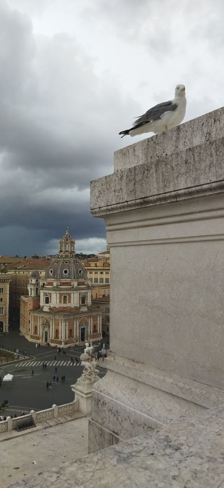 Фотография автора Ариадна Ланно