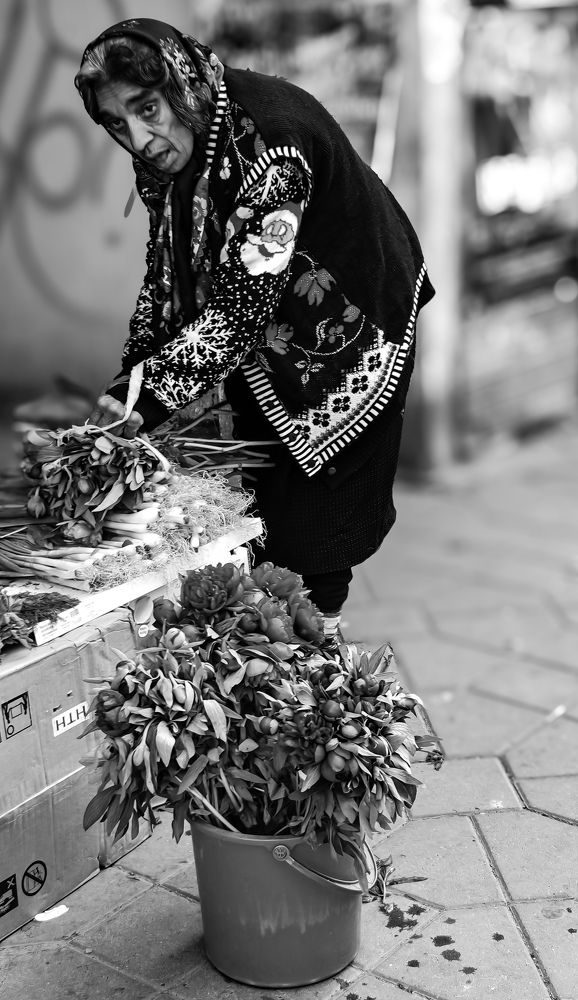 Photograph by Catalin Grădinaru