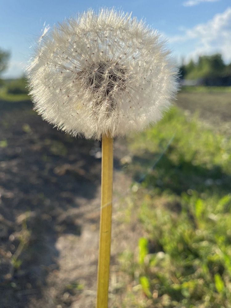 Photograph by Юлия Королева