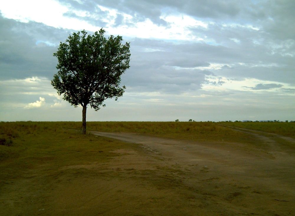 Photograph by GLEYDA GUTIÉREZ