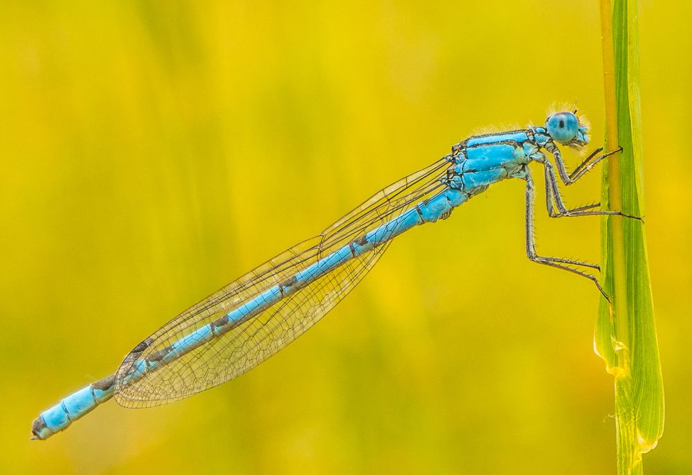 Photograph by yaşar Satar