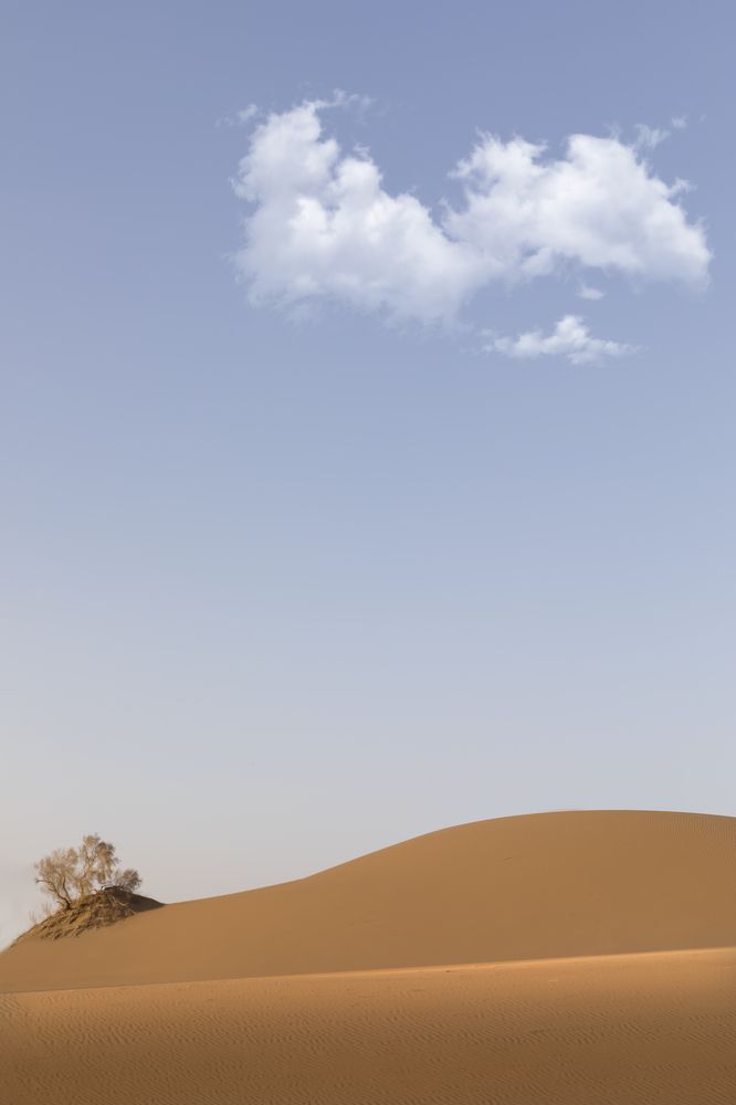 Фотография автора Neda Shirazi