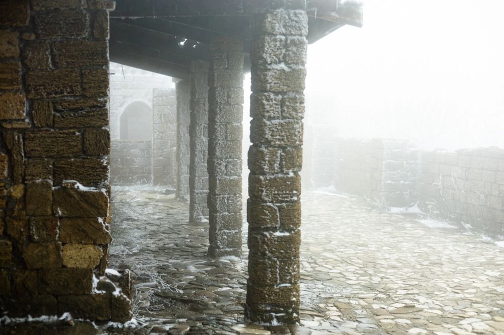 Photograph by Елена Саливон