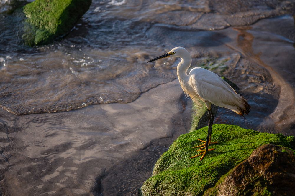 Photograph by Марина Ческис