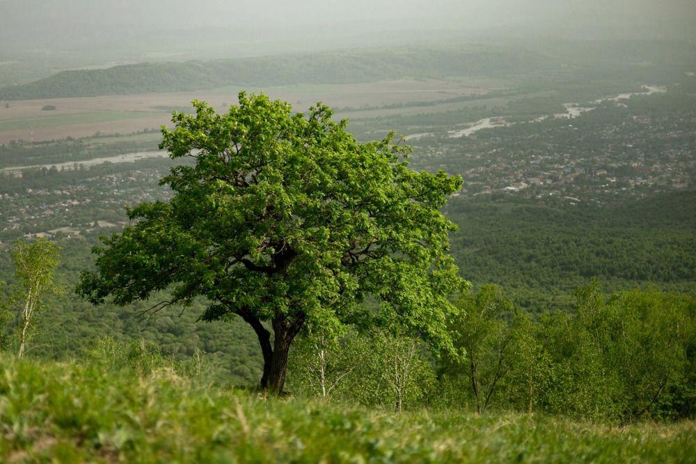 Photograph by Елена Саливон
