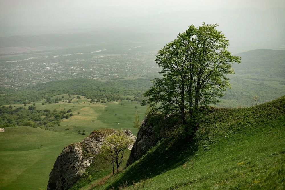 Photograph by Елена Саливон