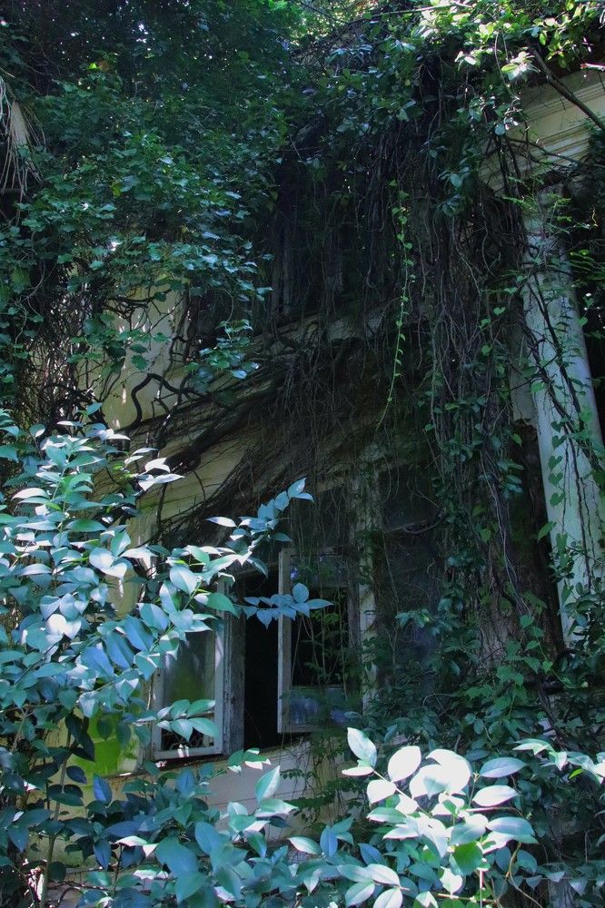 Photograph by ОЛЬГА ДЕРБЕНЕВА