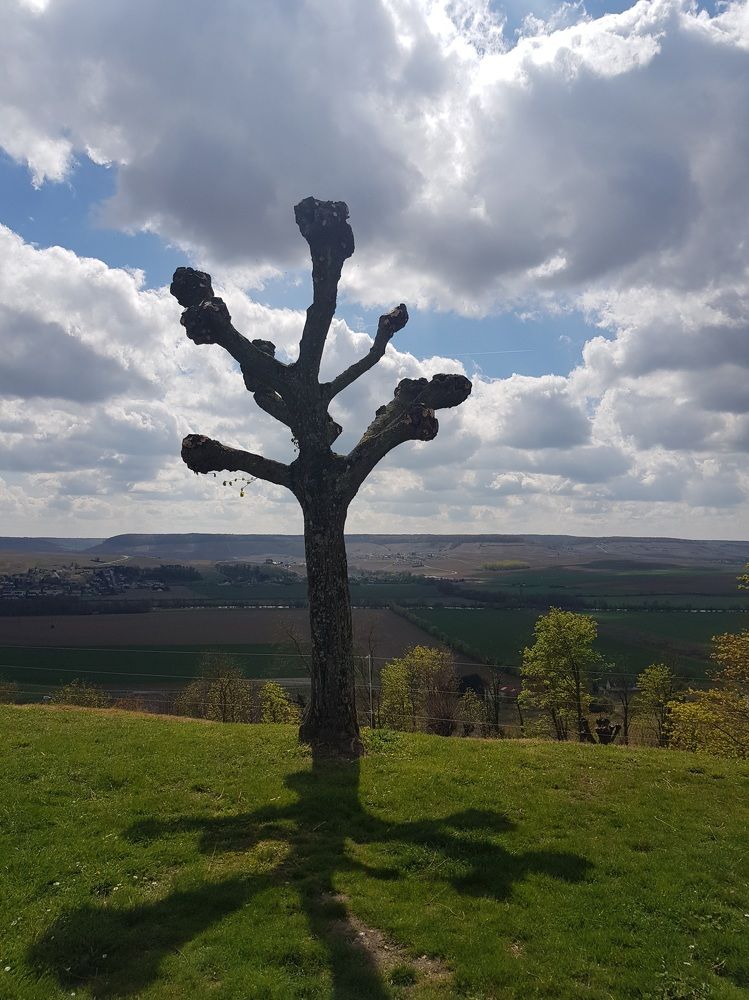 Photograph by Светлана