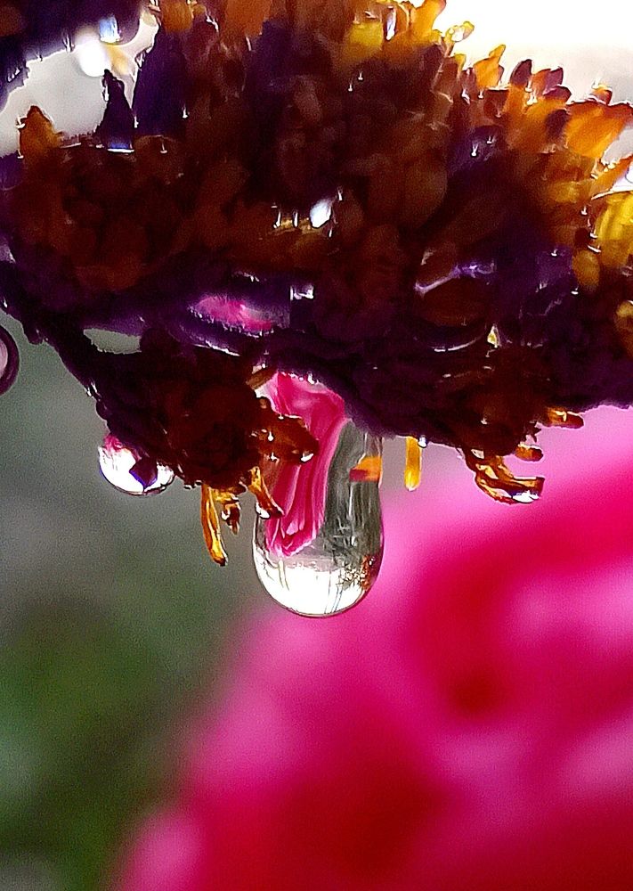 Photograph by Ольга Тихонова