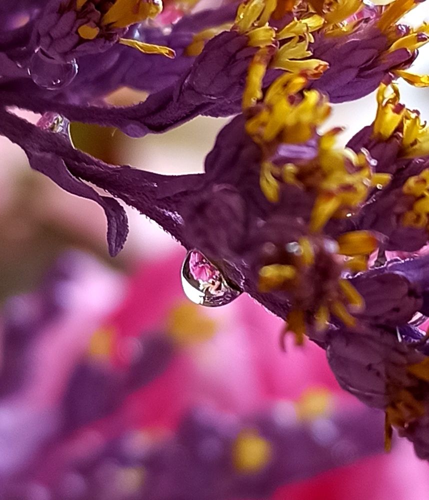 Photograph by Ольга Тихонова