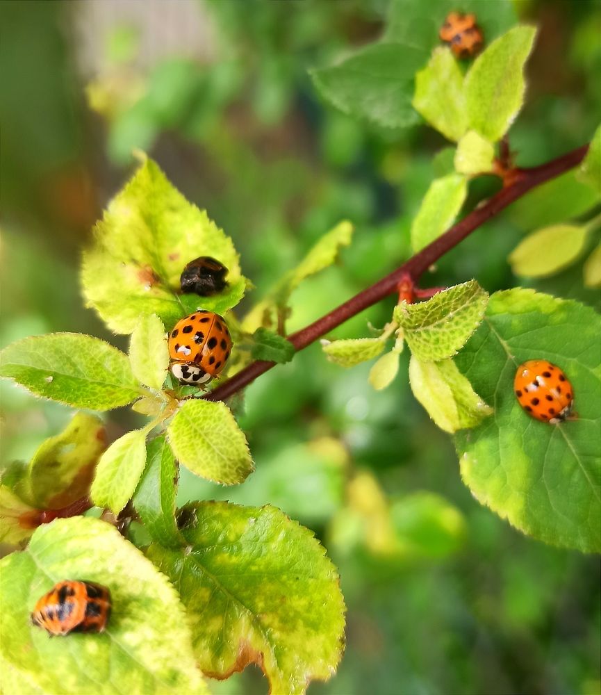 Photograph by Ольга Тихонова