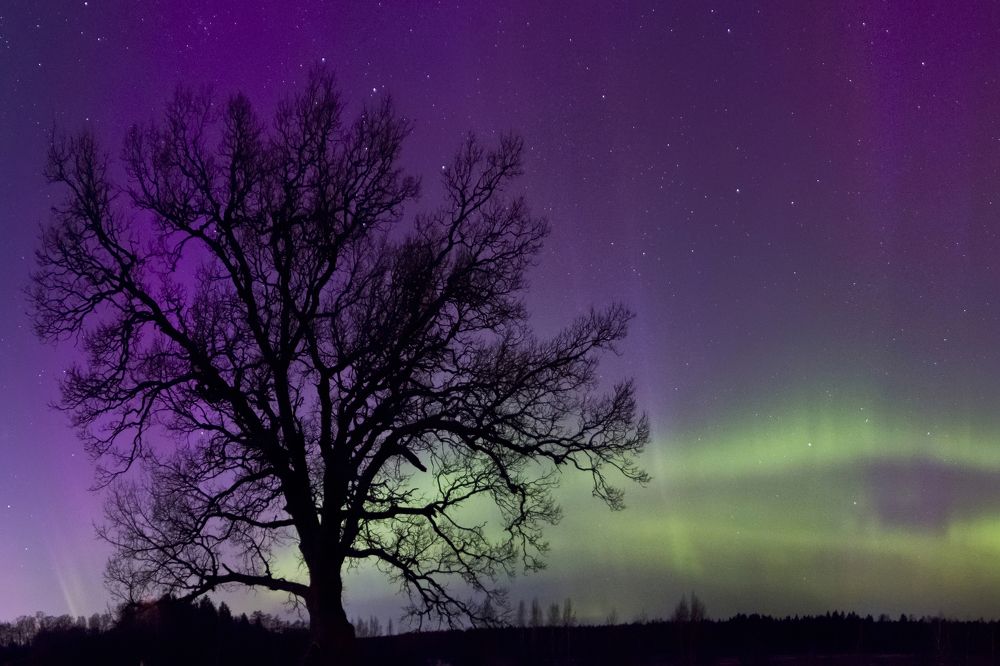 Фотография автора Вячеслав Голубцов