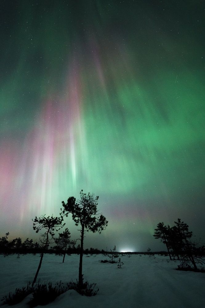 Фотография автора Вячеслав Голубцов