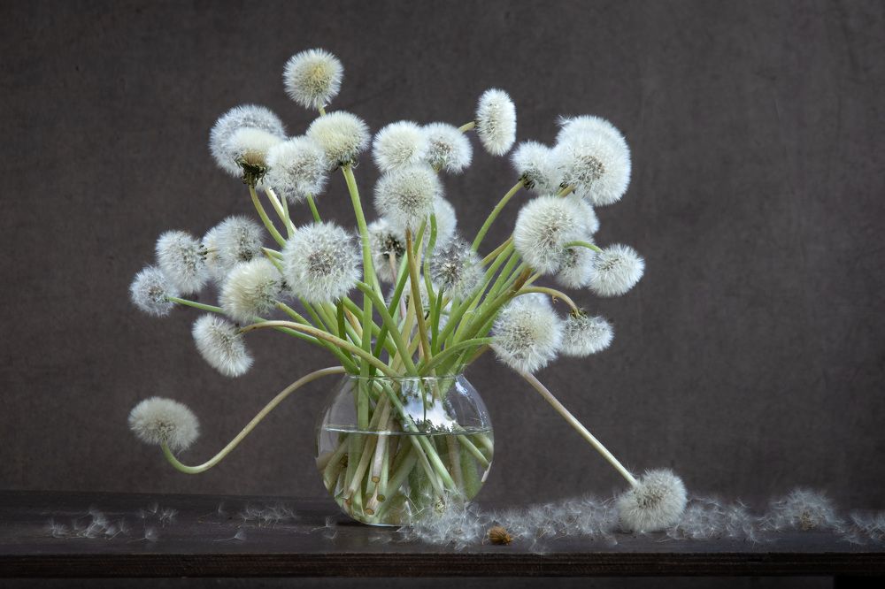 Photograph by Lyudmila Klimanova