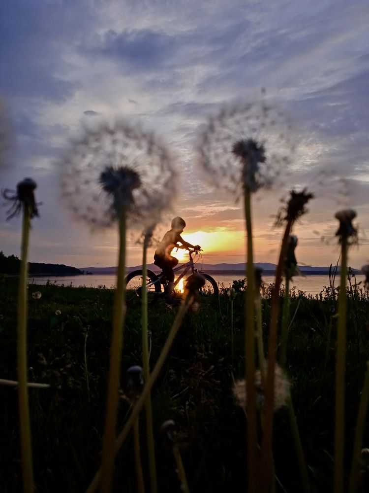 Photograph by Арина Бедрик