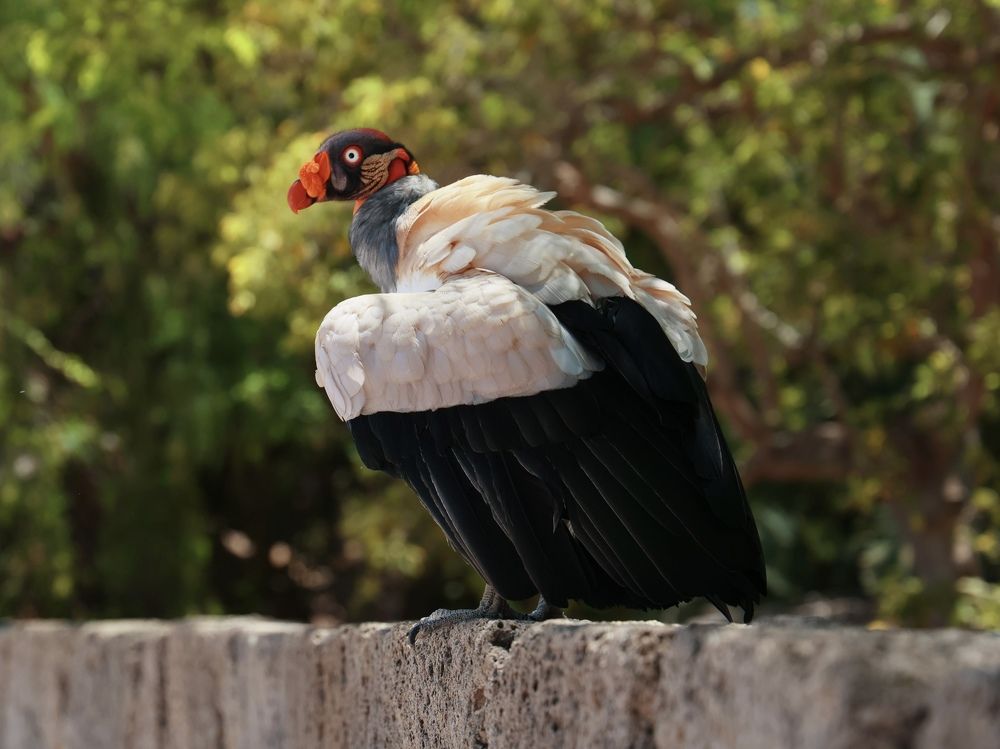 Photograph by Maxim Lipchenko