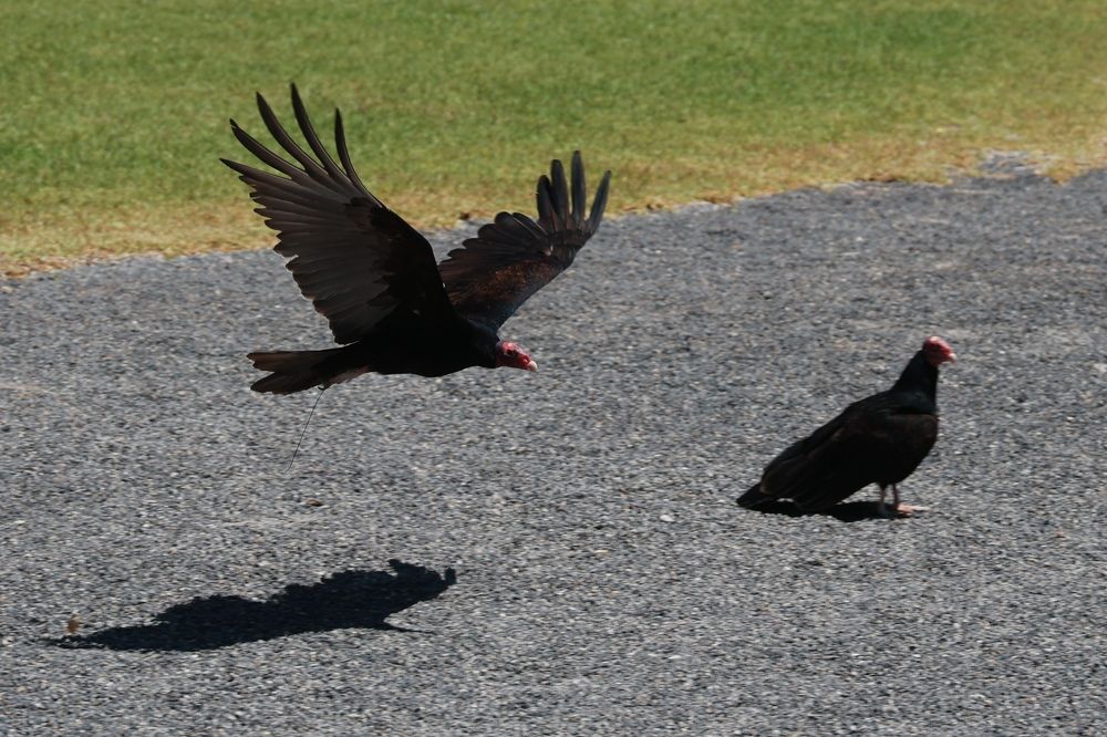 Photograph by Maxim Lipchenko