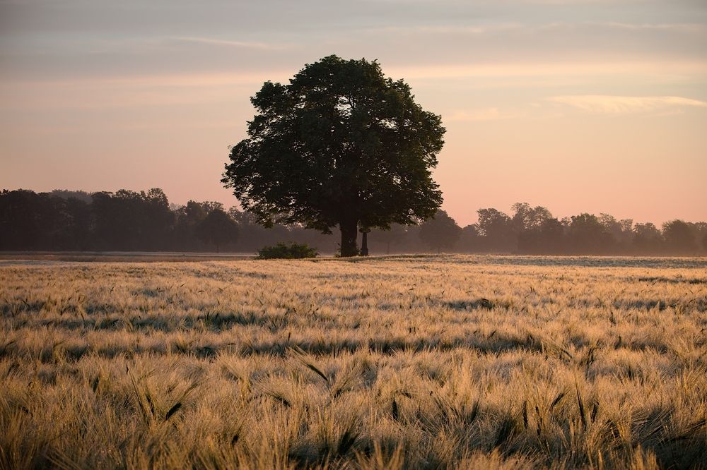 Фотография автора Ketov Vladimir