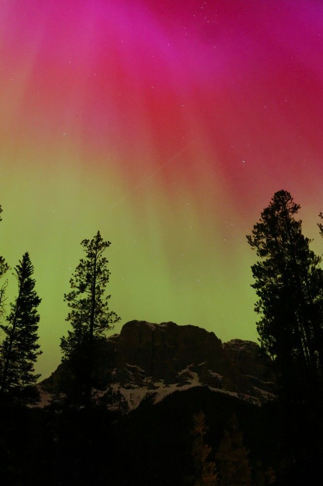 Фотография автора Elliot