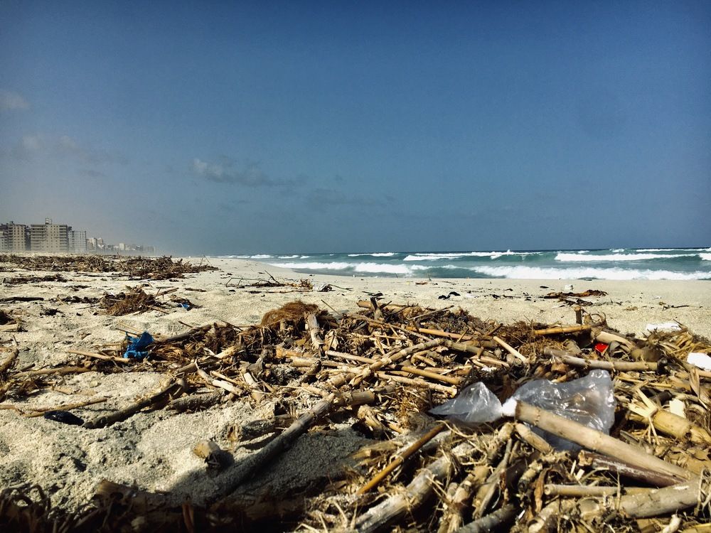 Photograph by yehia Elhellou