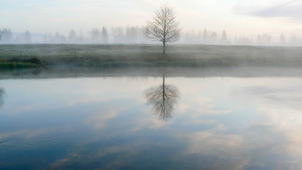 Photograph by Алексей Борисов