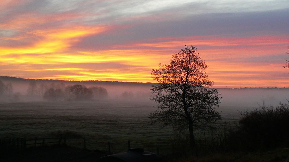 Photograph by Алексей Борисов