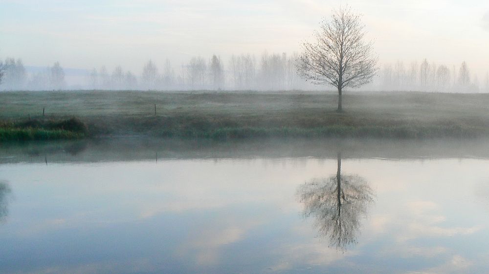 Photograph by Алексей Борисов