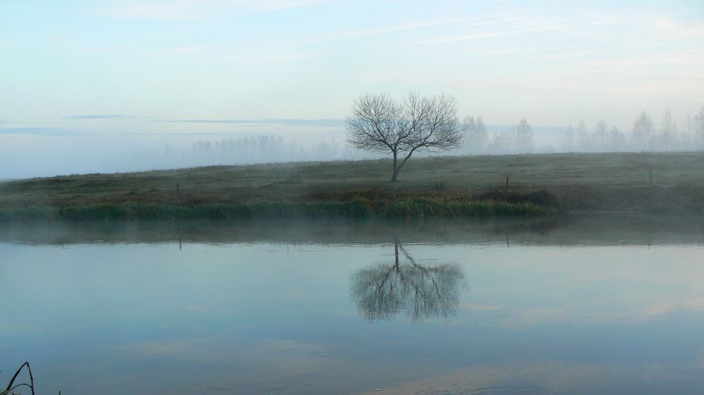 Photograph by Алексей Борисов