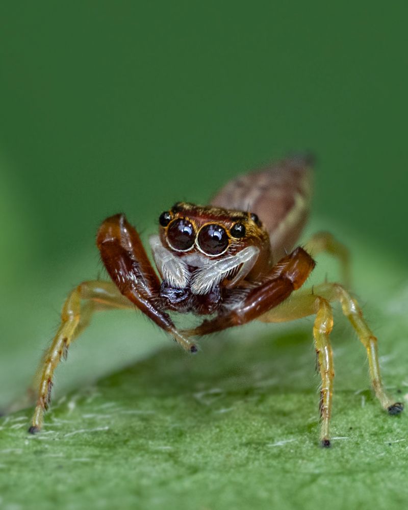 Photograph by Rachana madhav