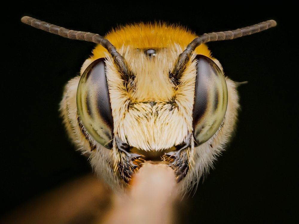 Photograph by Mark Acal