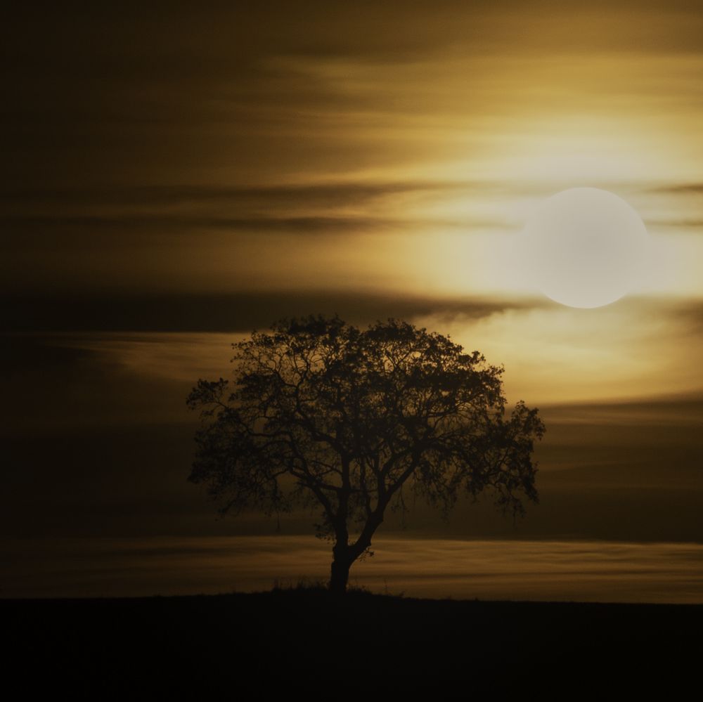 Фотография автора Christopher Cann