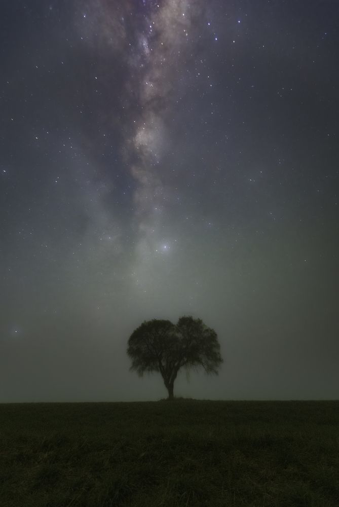 Фотография автора Christopher Cann