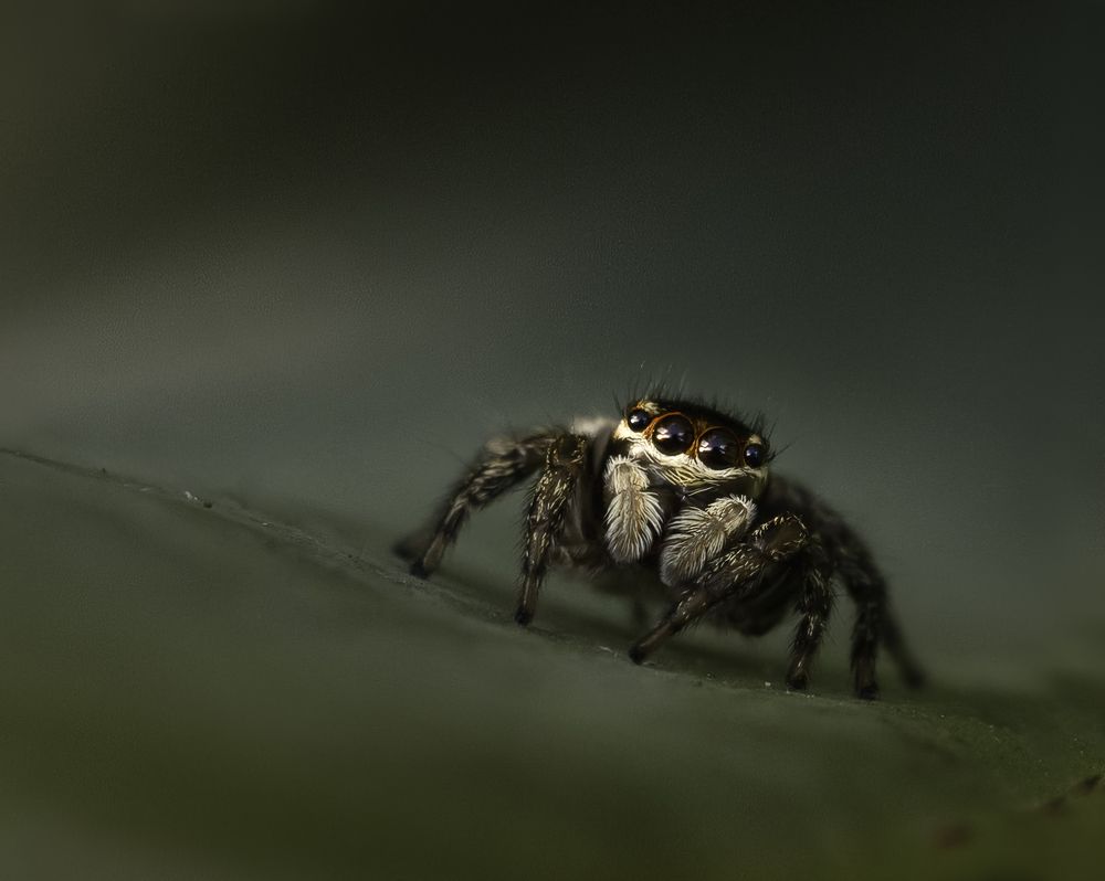 Фотография автора Christopher Cann