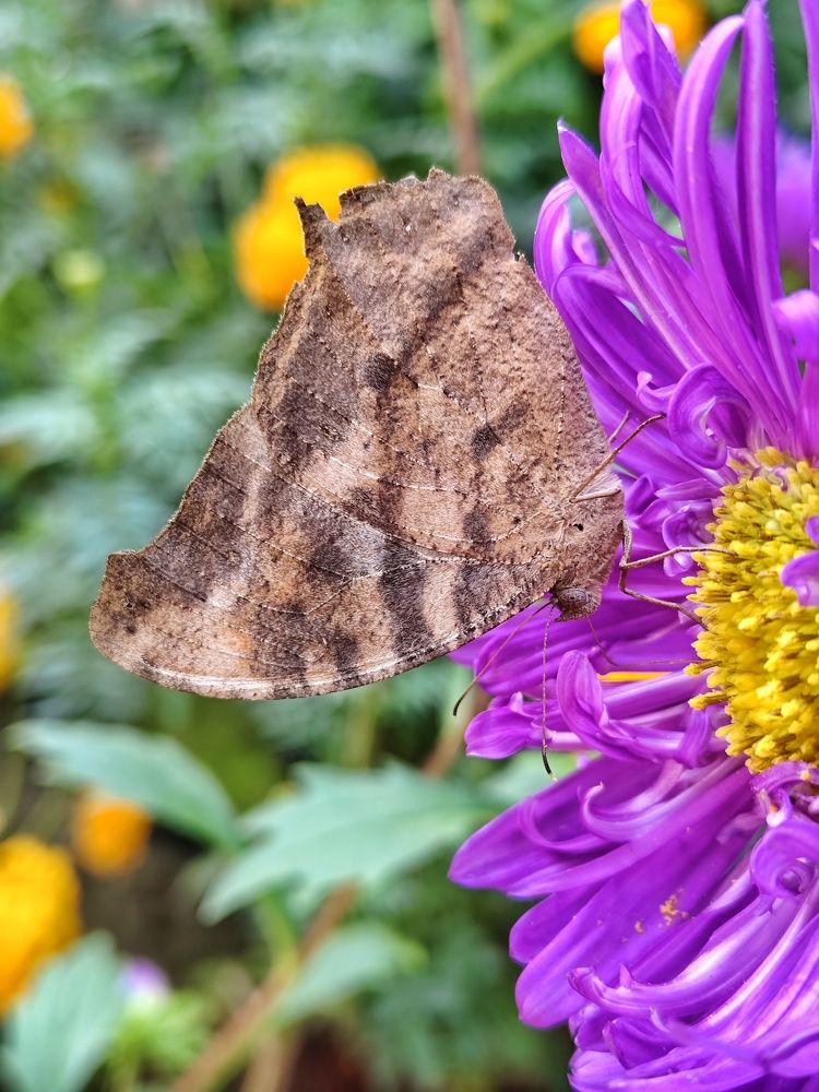 Photograph by SAPTARSHI PAL